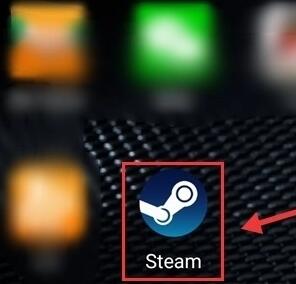 steam手机版看游戏仓库教程